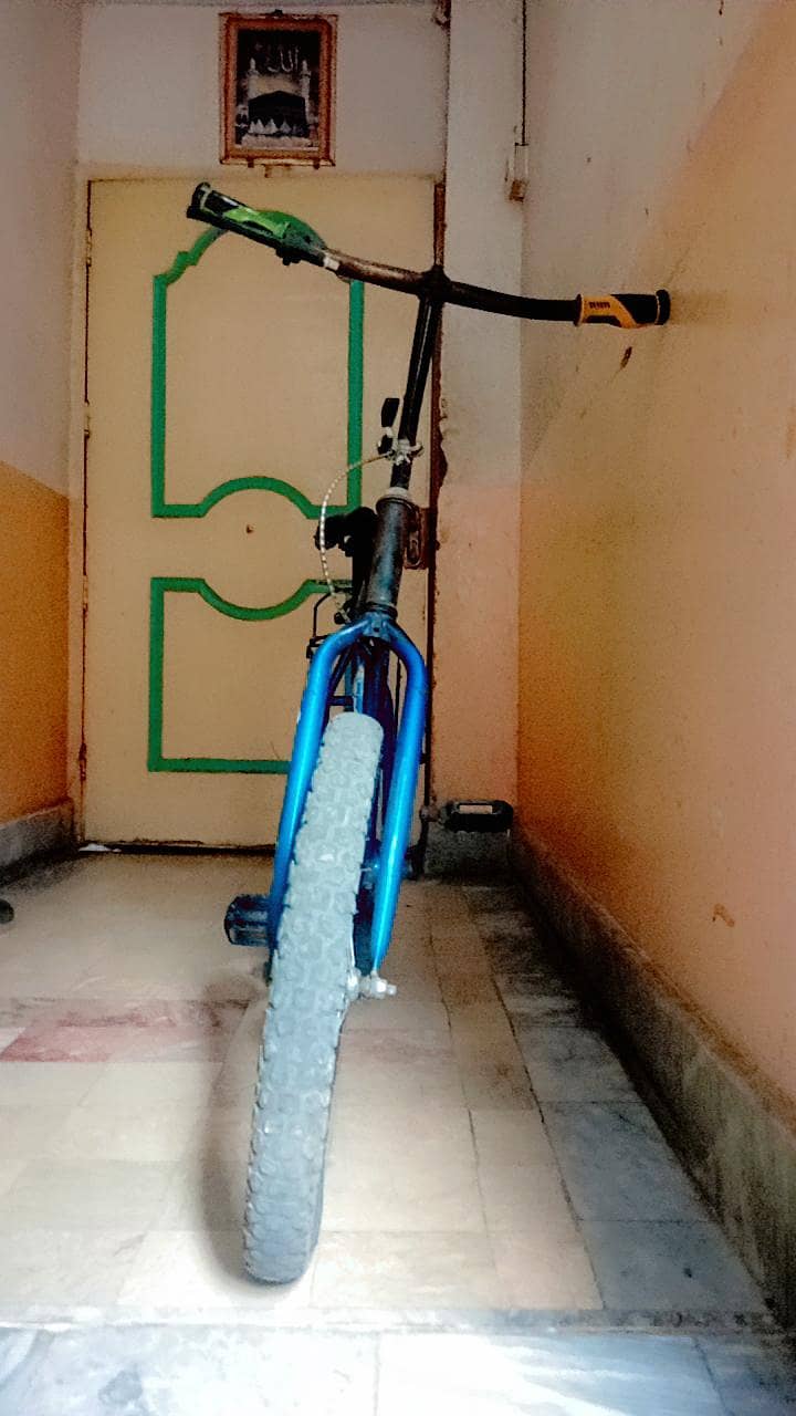 Phoenix Cycle  2