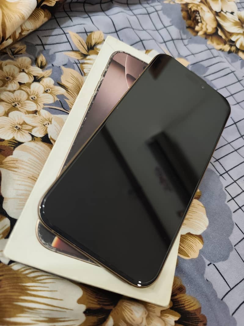 iPhone 16 Pro Max 1