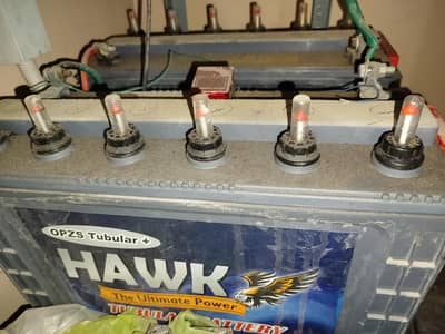 HAWK 185AH TABULAR BATTERIES