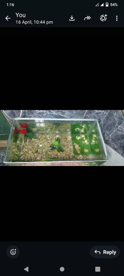 aquarium fish tank