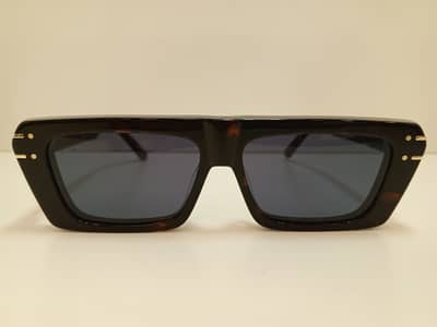 Christian Dior Signature S2U Premium Sunglasses | Luxury Eyewear |