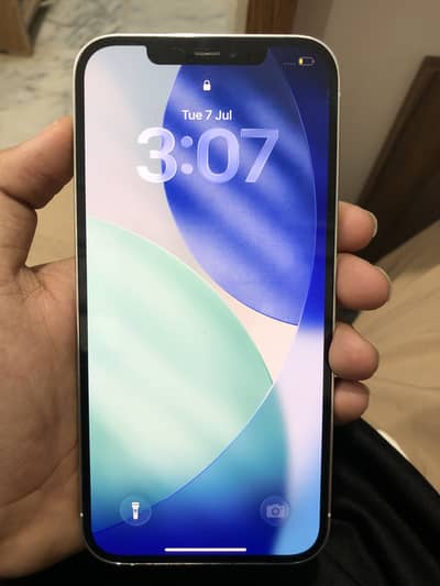 Apple iPhone 12 Pro Max