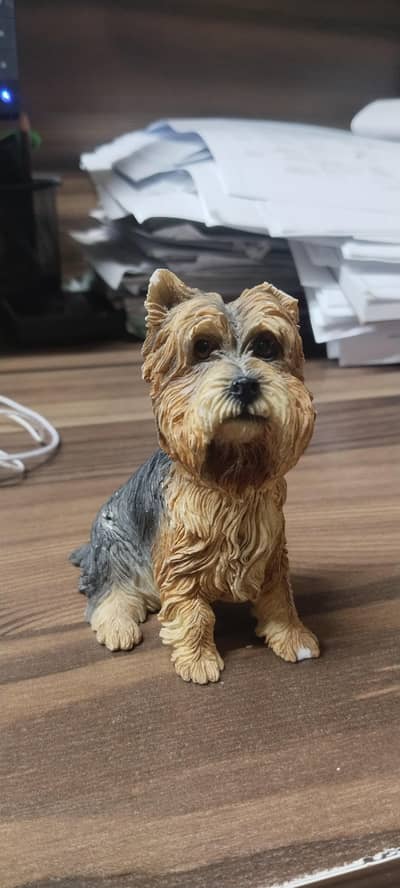 Terrier Dog Leandro Collection