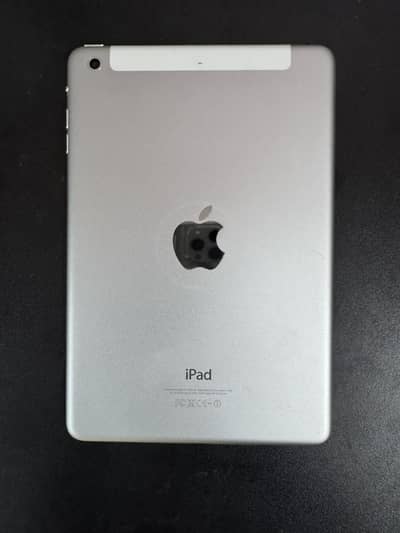 iPad mini 2