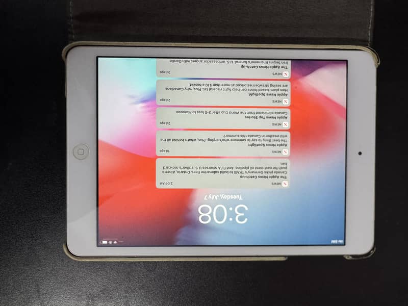 iPad mini 2 1