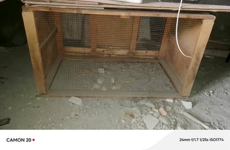 wood cage or round cage
