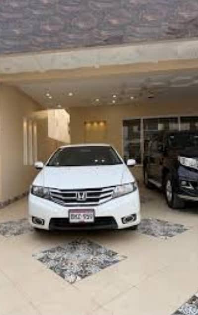 HOUSE DRIVER HELPER GUARD or couples required