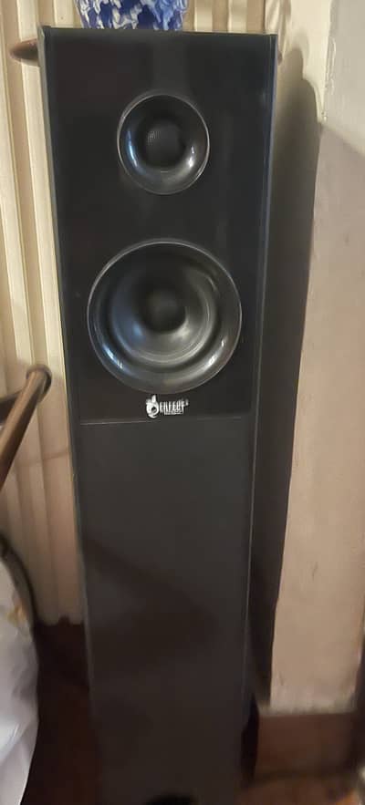 Bluetooth Tower Speakers