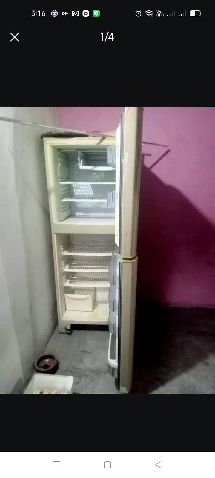 pel Fridge 3