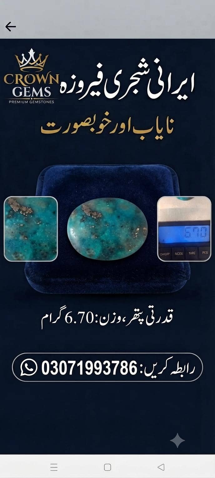 ایرانی شجری فیروزہ 0