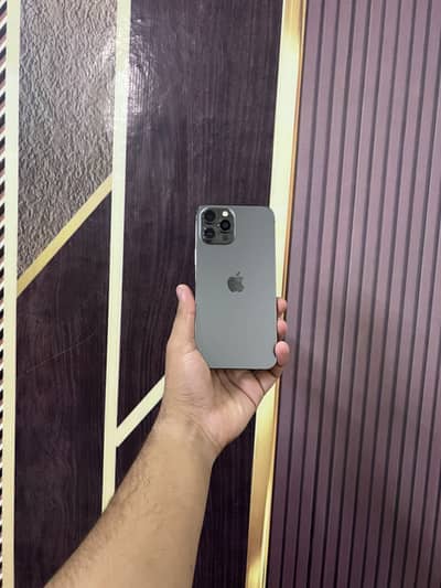 Apple iPhone 12 Pro Max Lush Condition