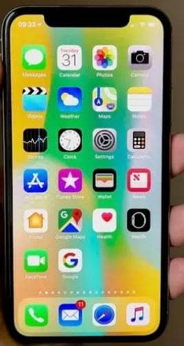 Apple iPhone X