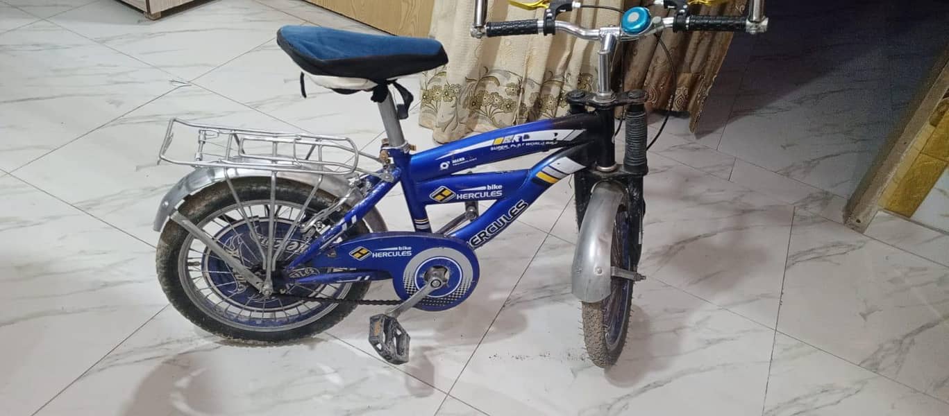 cycle with strong frame 1