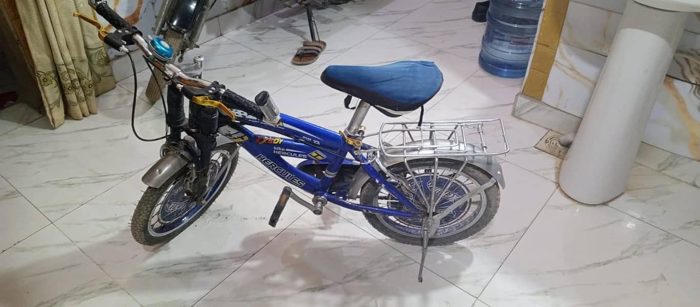 cycle with strong frame 2