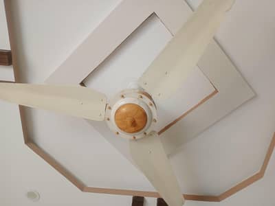 stylish ceiling fan