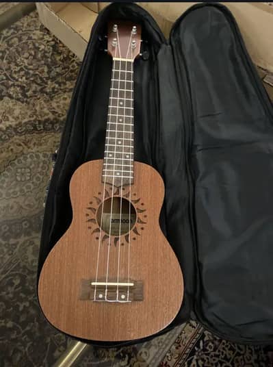 music instrument ukulele