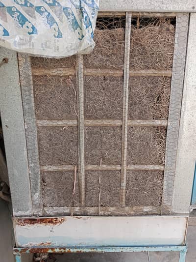 Air cooler