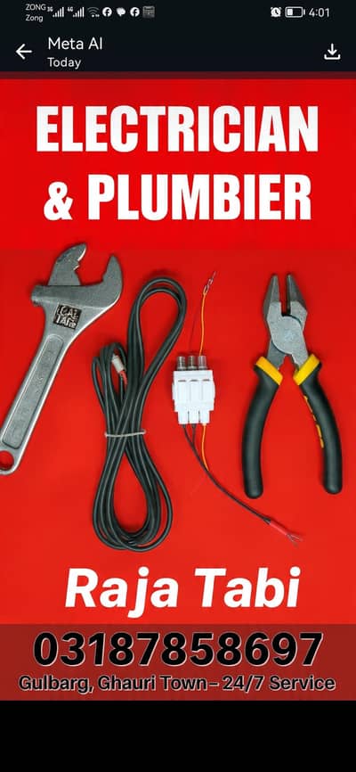 Electrician and plumber