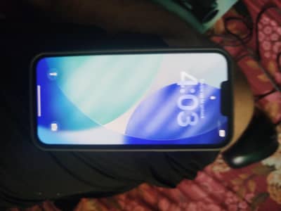 Apple iPhone 13 Pro Max jv