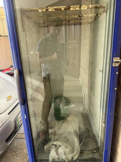 Pepsi Fridge for Sale ( Woking 10/10 )