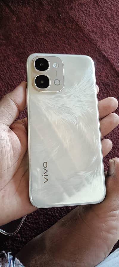 vivo y 31d