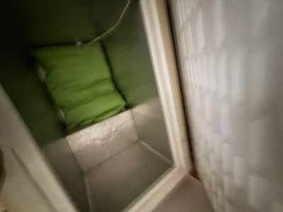 Double Door Walls Dfreezer