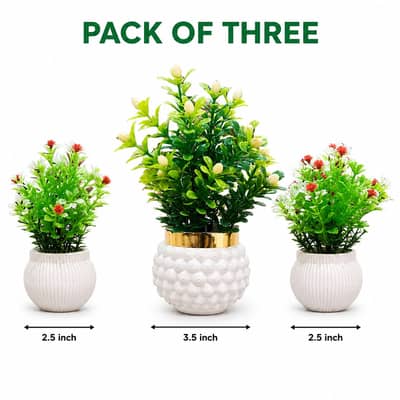 Pack of 3 Artificial Plants with White Pots | Home & Office Table Deco