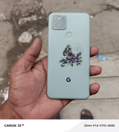 pixel 5 PTA approved