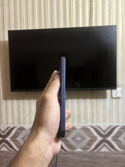 Apple iPhone XS Max convert into 17 promax