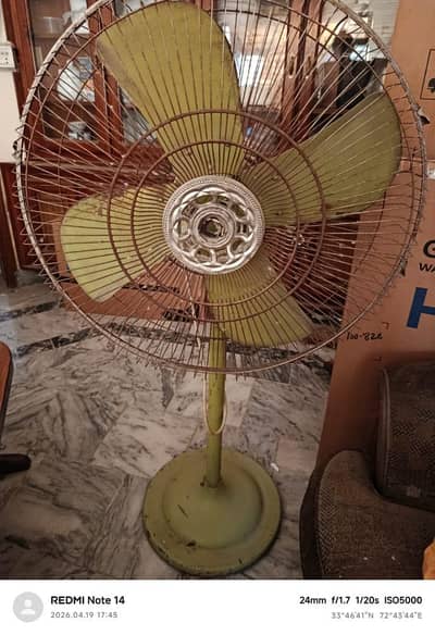 fan for sala