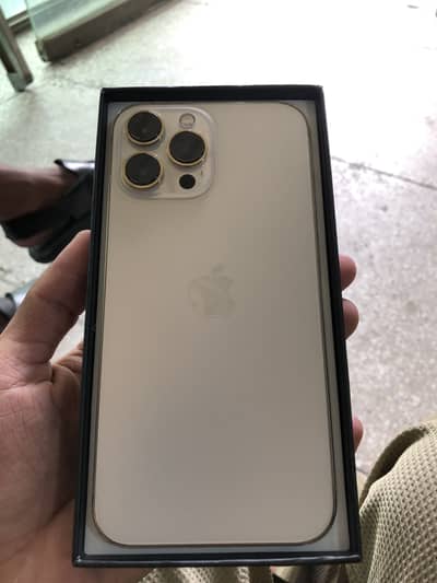 Apple iPhone 13 Pro Max
