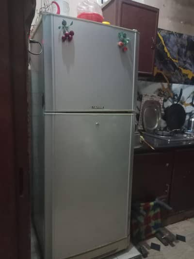 Pel Aspire Refrigerator.
