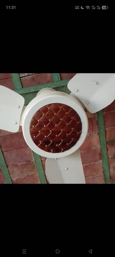 celleing Fan jimsa Brand