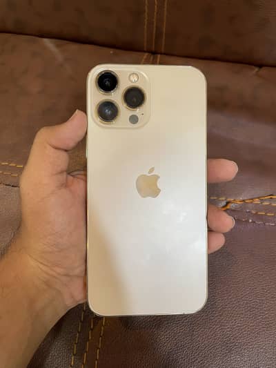 Apple iPhone 13 Pro Max