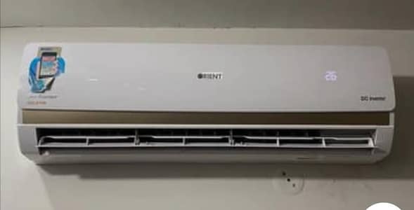 Orient Inverter For Sale