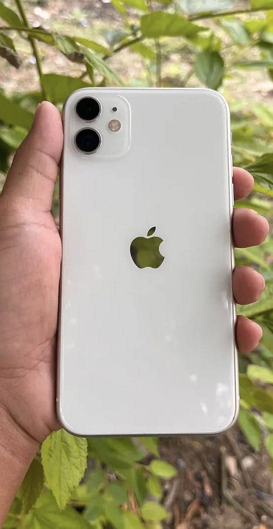 iPhone 11 0