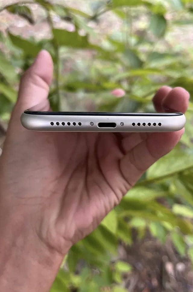 iPhone 11 1