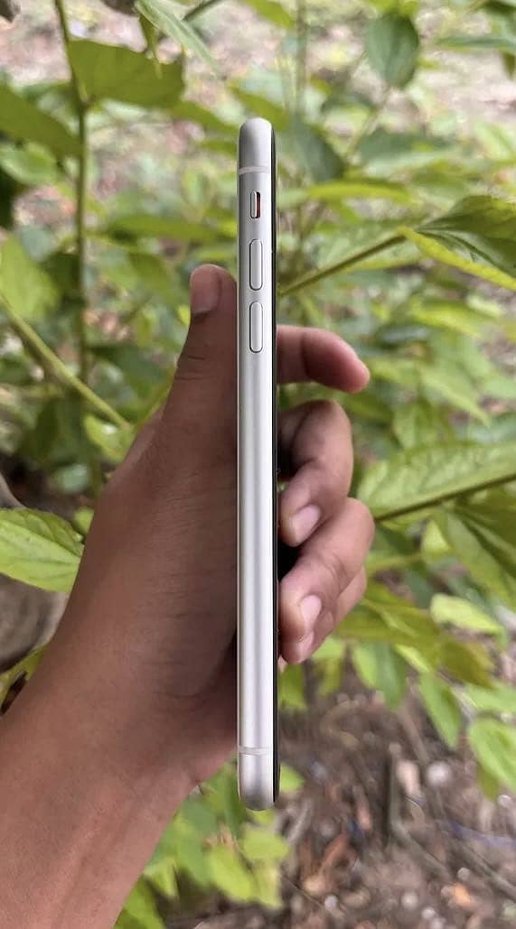 iPhone 11 3