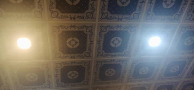 Ceiling for sale