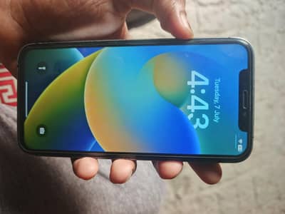 Apple iPhone X