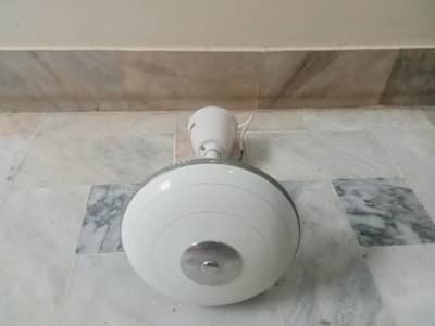Ceiling Fan for sale
