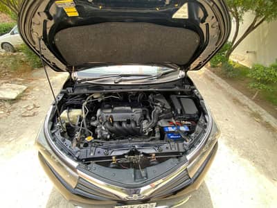 Toyota XLI total genuine