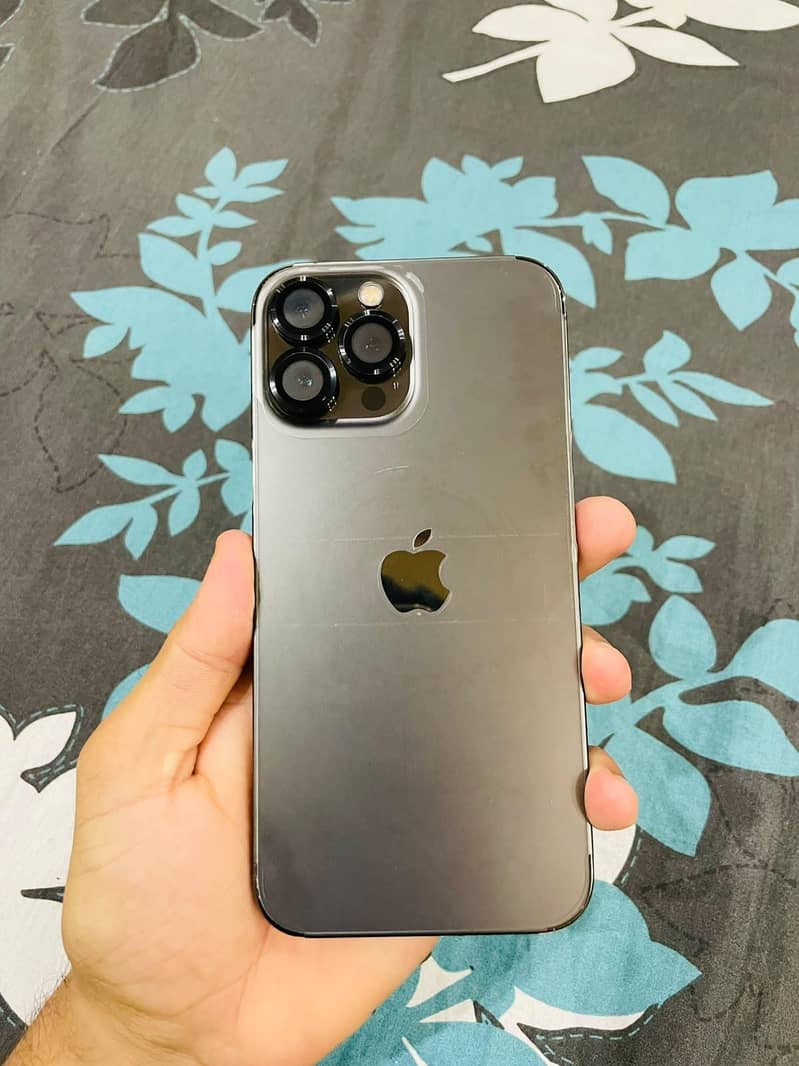 Apple iPhone 13 Pro Max 1