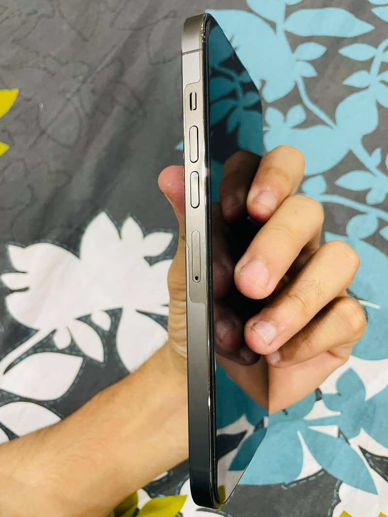 Apple iPhone 13 Pro Max 4
