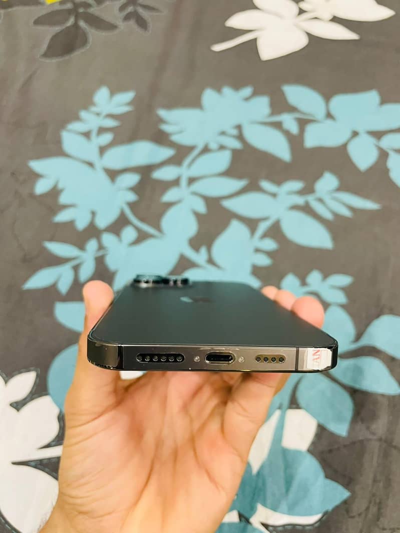 Apple iPhone 13 Pro Max 9
