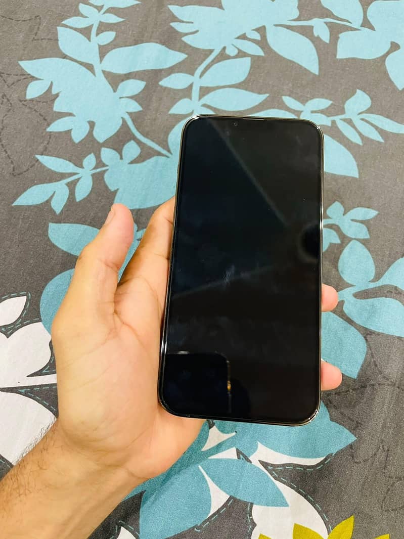 Apple iPhone 13 Pro Max 10