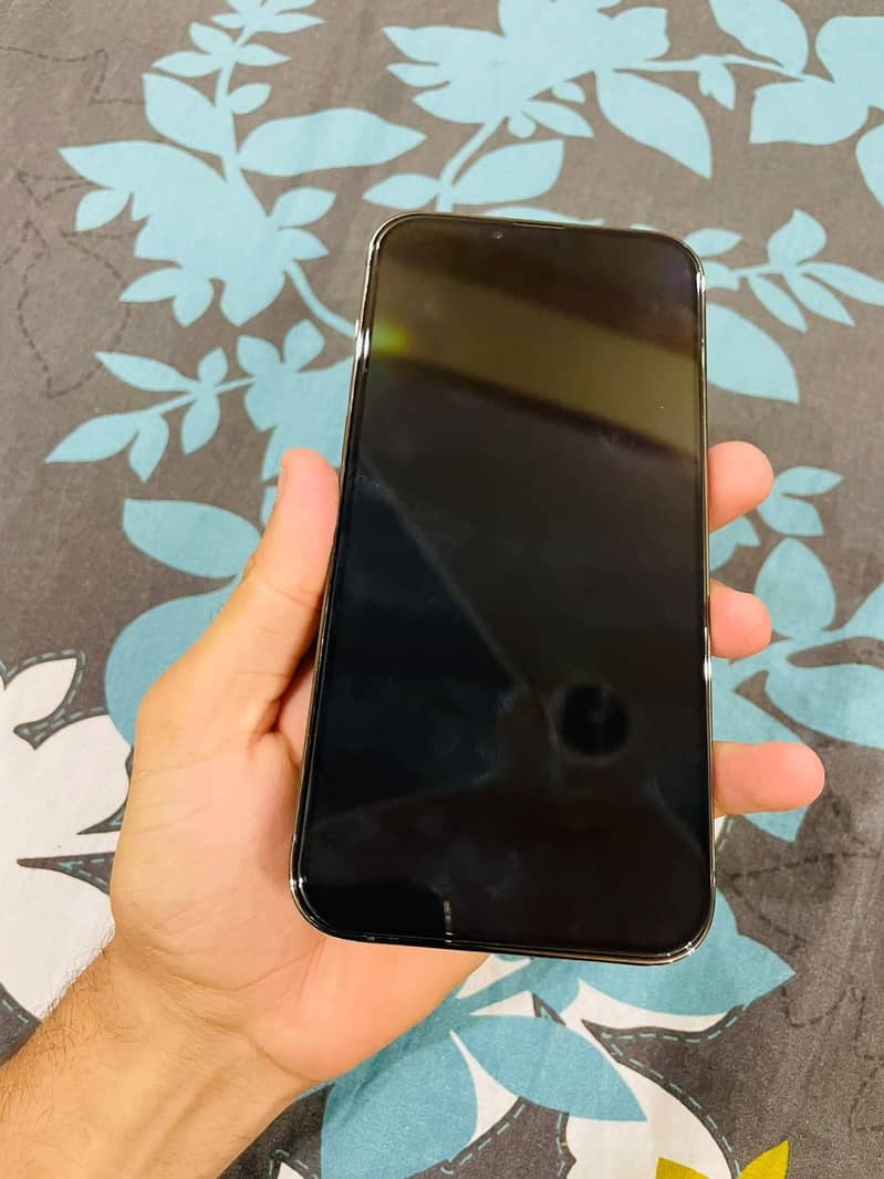 Apple iPhone 13 Pro Max 11
