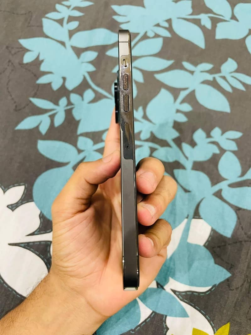 Apple iPhone 13 Pro Max 12