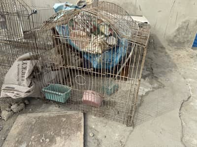 4 cages for sale Hard Gage Cages