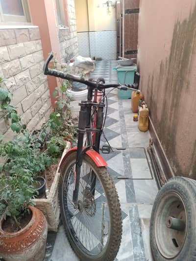 Fashion Searose bicycle